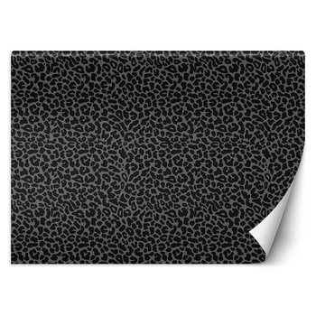 Feeby Fototapeta Pantera Leopard Tekstura Wzór 200X140 - Feeby