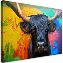 Feeby Obraz na płótnie, FEEBY Abstrakcja Krowa Szkocka na Kolorowym tle 100x70