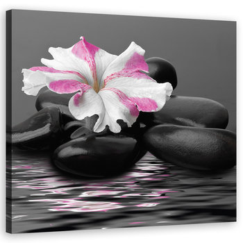 Feeby Obraz na płótnie, FEEBY Kamienie Kwiat Różowy Zen 30x30 - Feeby
