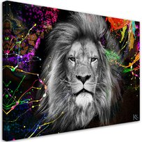 Feeby Obraz na płótnie, FEEBY Kolorowy lew abstrakcja 120x80