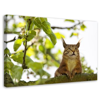 Feeby Obraz na płótnie, FEEBY Kot Wiewiórka Las Drzewo - Galina Bugaevskaya 120x80 - Feeby