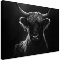 Feeby Obraz na płótnie, FEEBY Krowa Szkocka Czarno Biały 60x40