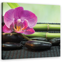 Feeby Obraz na płótnie, FEEBY Orchidea na czarnych kamieniach 60x60