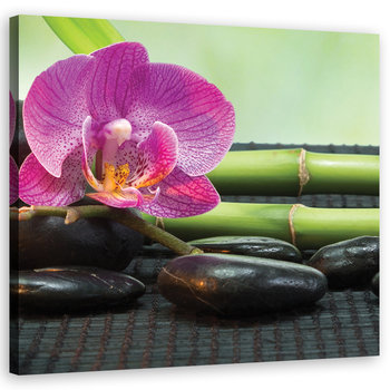 Feeby Obraz na płótnie, FEEBY Orchidea na czarnych kamieniach 60x60 - Feeby
