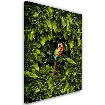 Feeby Obraz na płótnie, FEEBY Papuga w liściach - Rubiant 40x60 - Feeby