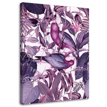 Feeby Obraz na płótnie, FEEBY Tropikalne ptaki 4 - Andrea Haase 40x60 - Feeby