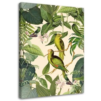 Feeby Obraz na płótnie, FEEBY Tropikalne ptaki w dżungli - Andrea Haase 70x100 - Feeby