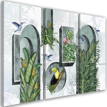 Feeby Obraz trzyczęściowy na płótnie, FEEBY Kształty w ścianie z roślinami i ptakami tukan koliber 150x100 - Feeby