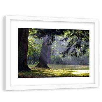 Feeby, Obraz w ramie białej, Drzewa w parku, 60x40 cm - Feeby