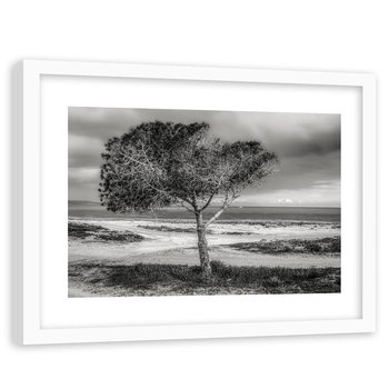Feeby, Obraz w ramie białej, Drzewo nad morzem, 90x60 cm - Feeby