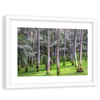 Feeby, Obraz w ramie białej, Las palmowy, 90x60 cm - Feeby