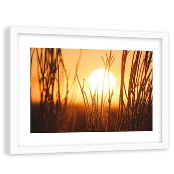 Feeby, Obraz w ramie białej, Zachód słońca i krzewy, 90x60 cm - Feeby