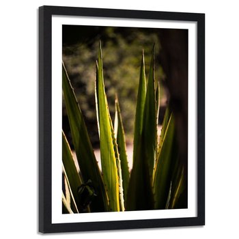 Feeby, Obraz w ramie czarnej, Kolczaste liści, 80x120 cm - Feeby