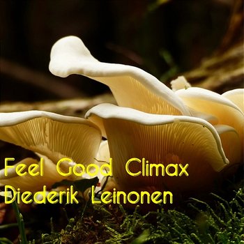 Feel Good Climax - Diederik Leinonen