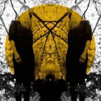 Feel It Break Austra