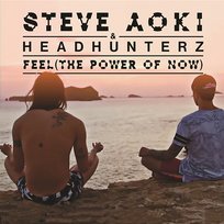 Feel (The Power Of Now) Headhunterz, Steve Aoki