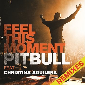 Feel This Moment Remixes - Pitbull feat. Christina Aguilera