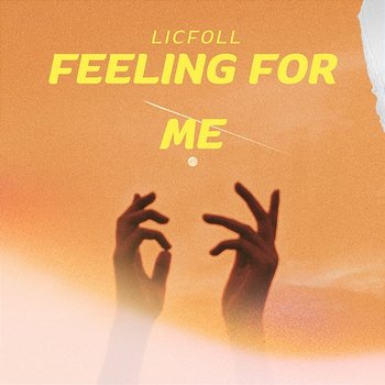 feeling for me - licfoll