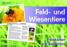 Feld und Wiesentiere Fotokarten mit Sachinfos Jung Heike Książka