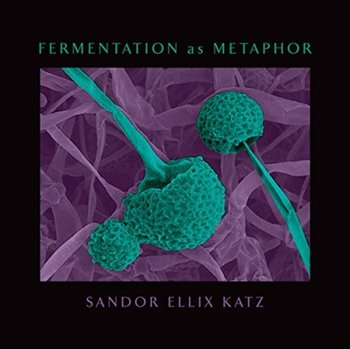 Fermentation as Metaphor. Follow Up to the Bestselling The Art of Fermentation - Katz Sandor Ellix