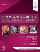Ferrets, Rabbits, and Rodents: Clinical Medicine and Surgery Orcutt Connie, Mans Christoph, Quesenberry Katherine