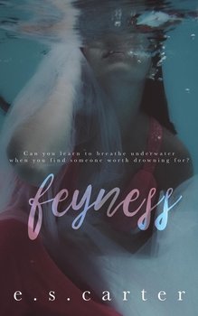 Feyness - Carter E S