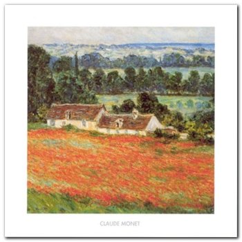 Field Of Poppies plakat obraz 50x50cm - Wizard+Genius