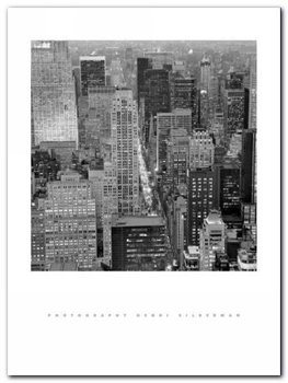 Fifth Avenue At Dusk plakat obraz 60x80cm - Wizard+Genius