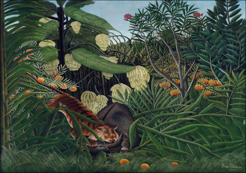 Fight between a Tiger and a Buffalo, Henri Rousseau - plakat 40x30 cm - Galeria Plakatu