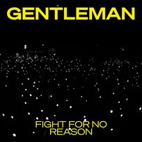 Fight For No Reason Gentleman