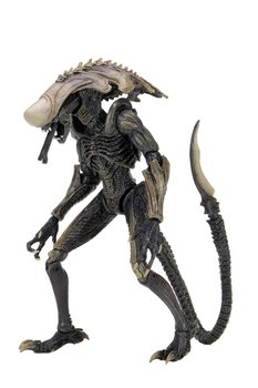 Figurka Alien vs Predator - Chrysalis Alien - Neca