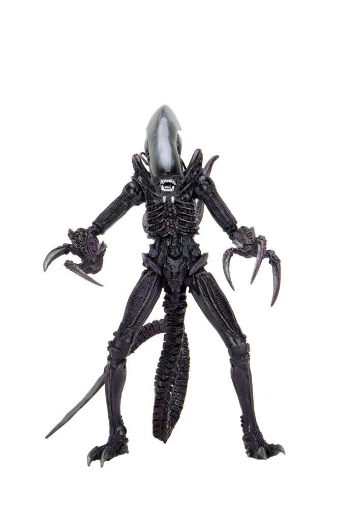 Фото - Фігурки / трансформери NECA Figurka Alien vs Predator - Razor Claws Alien 