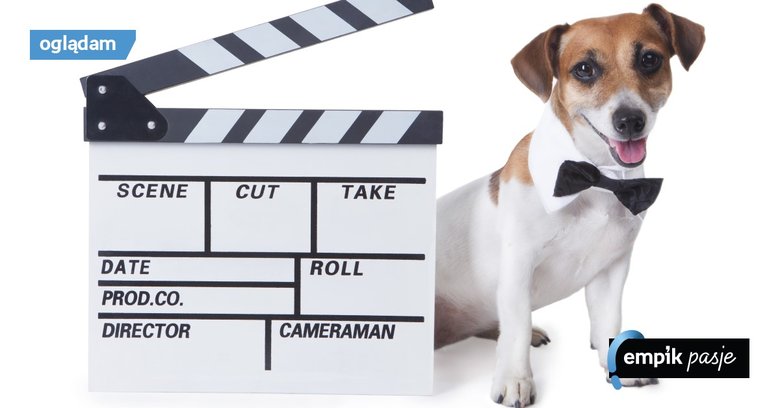 Filmy o psach – 7 kultowych produkcji