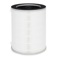 filtr oczyszczacza ap 9650 (filtr powietrza) Webber