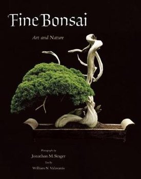 Fine Bonsai - Jonathan M Singer