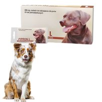 Fipron L krople na pchły i kleszcze dla psa 20–40 kg