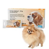 Fipron S krople 2–10 kg Ochrona psa przed pchłami i kleszczami