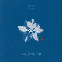 First Sight Yan An