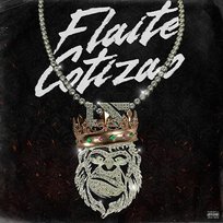 FLAITE COTIZAO Lleflight