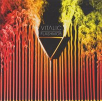 Flashmob Vitalic