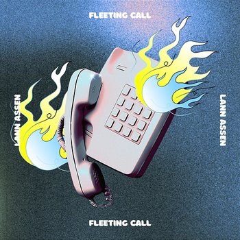 Fleeting call - LAN ASSEN