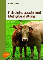Fleischrinderzucht und Mutterkuhhaltung - Hampel Gunter