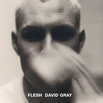 Flesh - David Gray