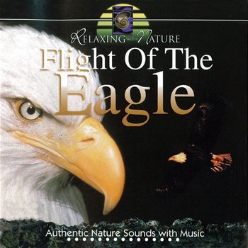 Flight of the Eagle - John St. John