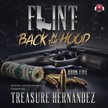 Flint, Book 5 - Hernandez Treasure