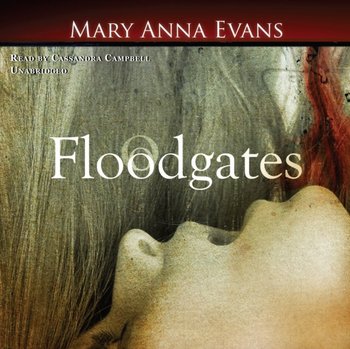 Floodgates - Evans Mary Anna