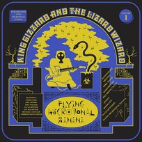 Flying Microtonal Banana King Gizzard & The Lizard Wizard