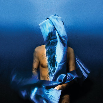 Flying Wig, płyta winylowa - Banhart Devendra