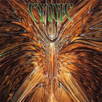 Focus Cynic