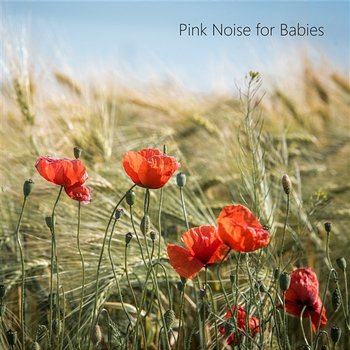 Focusing Noise and Sleep Sounds. White and Pink Noise Loopable. - Sleep Music Center